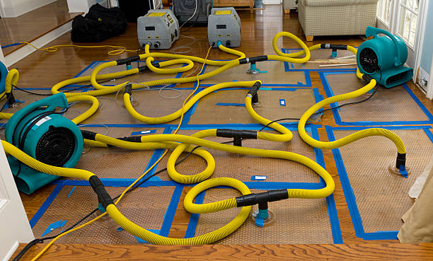 Professional Storm Water Damage Restoration technician working in Cedar, MN